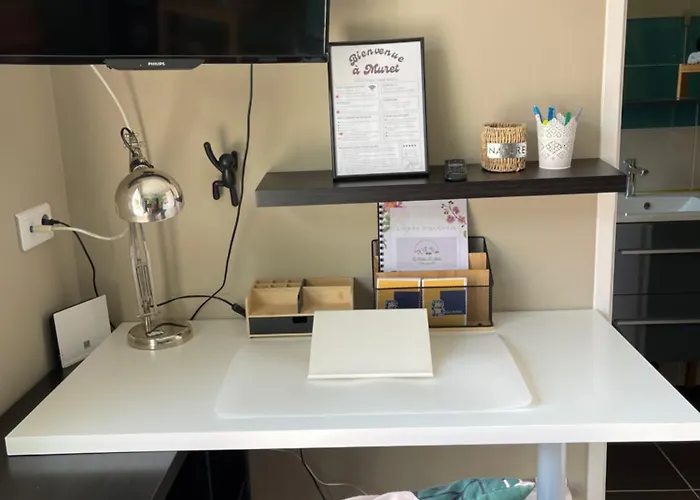 Le De Vasconia 米雷